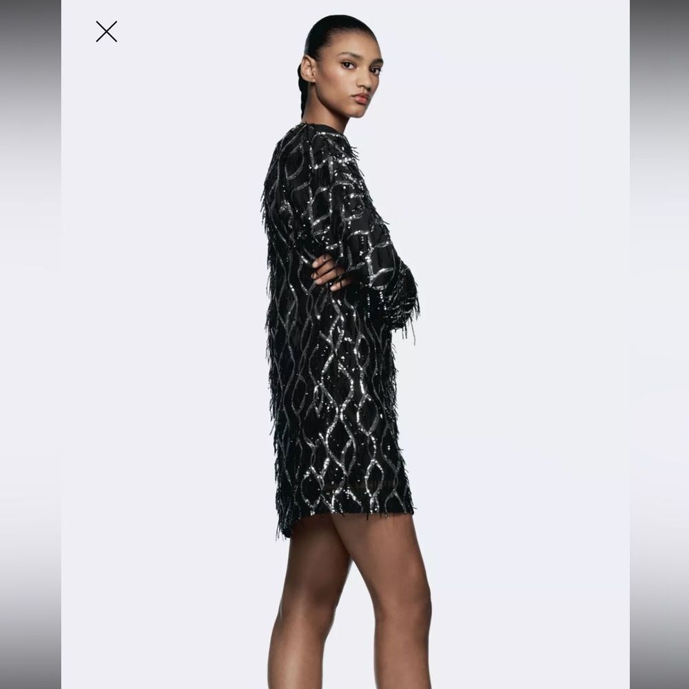ZARA MINI DRESS WITH FRINGING AND SEQUINS - Picture 14 of 16